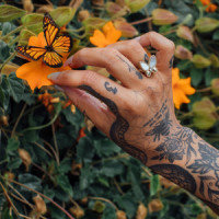 Butterfly Wings_Andrea Russett