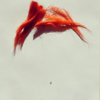Ursula Kemp_Shannon Lay