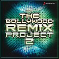 The Gangster Mash Up_Sunidhi Chauhan,Anu Malik,Anand Raaj Anand