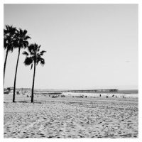 California_The Band CAMINO