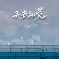 失去知觉_皮卡丘多多