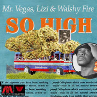 So High_Mr. Vegas,Lizi,Walshy Fire