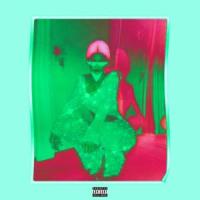 Kylie Jenner_camino