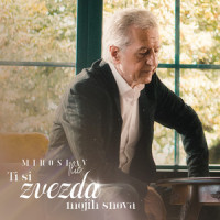 Ti si zvezda mojih snova_Miroslav Ilic