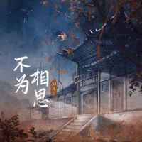 不为相思_MAD