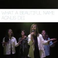 What a Beautiful/Agnus Dei(feat. Vanessa Howell)_Victory Worship,Vanessa Howell