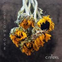 Our Sins_Citadel