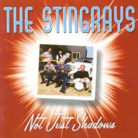 It's A Man's World_the Stingrays