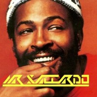 Sexual Healing_Mr Saccardo,Marvin Gaye