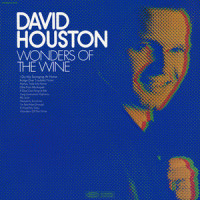 I Do My Swinging at Home_David Houston