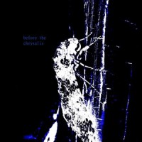 Sweet Truths (feat. DaniE)_Manatee,Danie