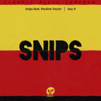 Say It(feat. Pauline Taylor)_Snips,Pauline Taylor