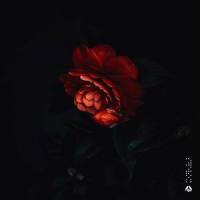 Remorse_yuhei miura,kazuki isogai,Refeeld
