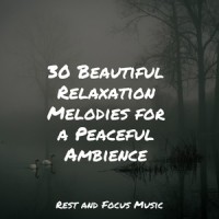 Green Meadows_Wellness,Musica Relajante,Deep Sleep Meditation