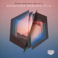 Sensations(feat. Andy Allo)_Miguel Migs,Andy Allo