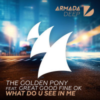 What Do U See In Me_The Golden Pony,Great Good Fine OK