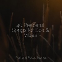 Walking the Quiet Path_Kings of Nature,Pink Noise,Meditation & Stress Relief Therapy
