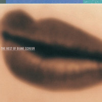 All Right, OK, You Win (I'm In Love With You)_Diane Schuur