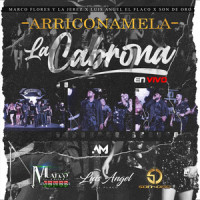 Arriconamela - La Cabrona_Son De Oro,Marco Flores Y La Jerez,Luis Angel "El Flaco"