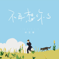 不再想你了_林宝馨