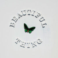 Beautiful Thing_The Stone Roses