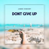 Don't Give Up_James Vincent,Vital EDM