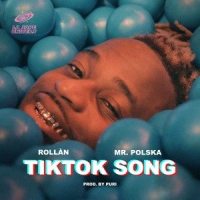 TikTok Song_ROLLÀN,Mr. Polska,Puri