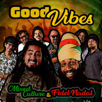 Good Vibes_Mixed Culture,Fidel Nadal