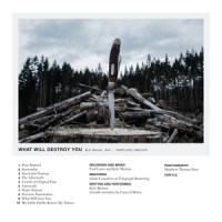 What Will Save You_Kyle Morton
