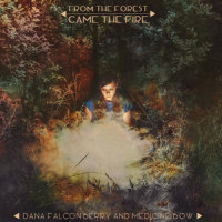 Cormorant_Dana Falconberry,MedicineBow