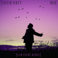 Rise_Calum Scott,Sam Feldt