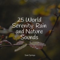 Thunder, Rains_Best Kids Songs,125 Nature Sounds,Wellness