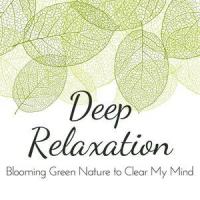 In Touch With The Green_Relax α Wave