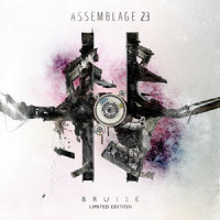 Crosstalk_Assemblage 23