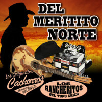 Mil Puñaladas_Los Rancheritos Del Topo Chico