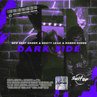 Dark Side_New Beat Order,Booty Leak,Robbie Rosen