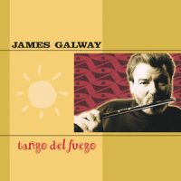 Sambadouro (森巴喜年华)_James Galway,Ivan Lins