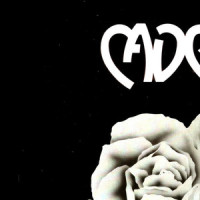 Do It_Cadence