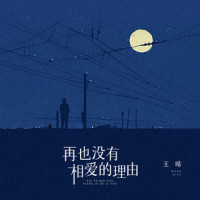 再也没有相爱的理由_王晴