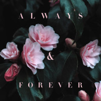 Always & Forever_Lily Kershaw
