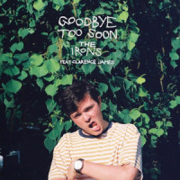 Goodbye Too Soon_The Irons,Clarence James