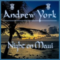 Night on Maui_Andrew York