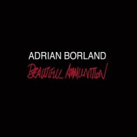 Our Forest Ghost_Adrian Borland