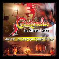 Si Yo Fuera Él_Cardenales De Nuevo León