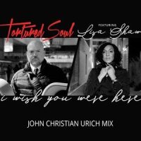 I Wish You Were Here_Tortured Soul,Lisa Shaw