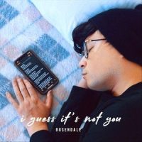 I Guess It's Not You_Rosendale