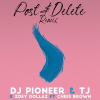 Post & Delete_DJ Pioneer,TJ,Zoey Dollaz,Chris Brown