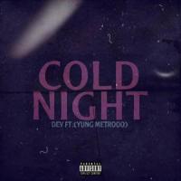 COLD NIGHT (feat. Yung Metrooo)_Dev,Yung Metrooo
