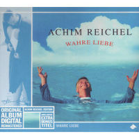 Dann kamst du_Achim Reichel