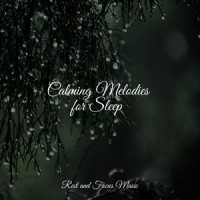 Woods Walking Serenity_Anxiety Relief,Deep Sleep,Zarobi